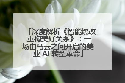 深度解析《智能爆改 重构美好关系》：一场由马云之问开启的美业 AI 转型革命