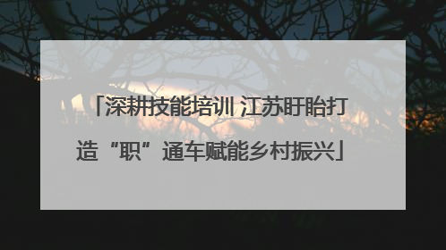 深耕技能培训 江苏盱眙打造“职”通车赋能乡村振兴