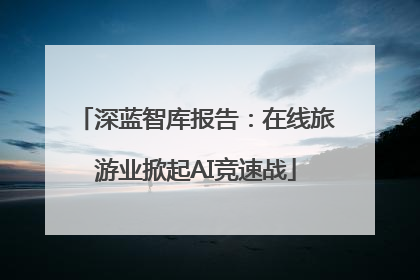 深蓝智库报告：在线旅游业掀起AI竞速战