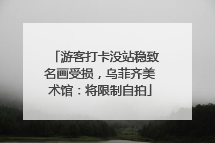 游客打卡没站稳致名画受损，乌菲齐美术馆：将限制自拍