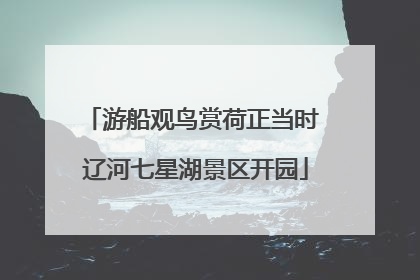 游船观鸟赏荷正当时 辽河七星湖景区开园