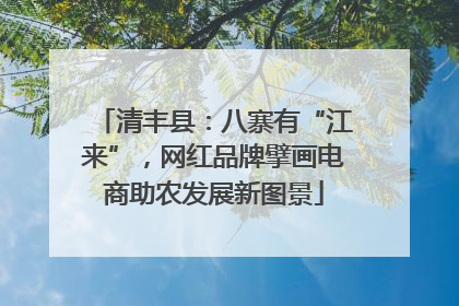 清丰县：八寨有“江来”，网红品牌擘画电商助农发展新图景