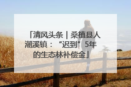 清风头条｜桑植县人潮溪镇：“迟到”5年的生态林补偿金