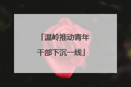 温岭推动青年干部下沉一线