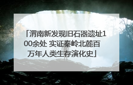 渭南新发现旧石器遗址100余处 实证秦岭北麓百万年人类生存演化史