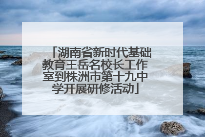 湖南省新时代基础教育王岳名校长工作室到株洲市第十九中学开展研修活动