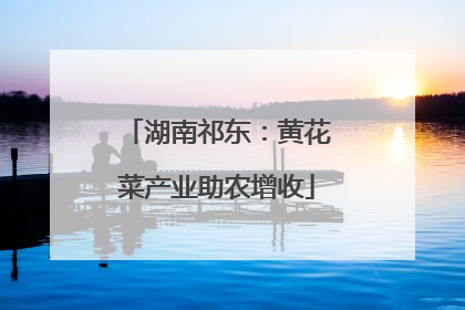湖南祁东：黄花菜产业助农增收