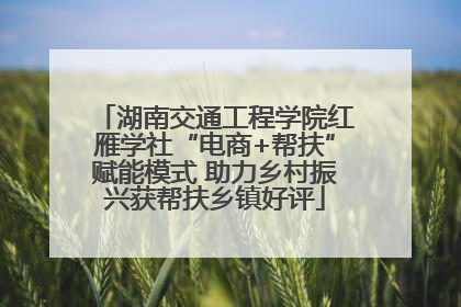 湖南交通工程学院红雁学社“电商+帮扶”赋能模式 助力乡村振兴获帮扶乡镇好评