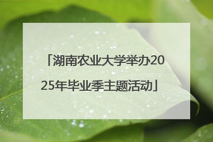 湖南农业大学举办2025年毕业季主题活动