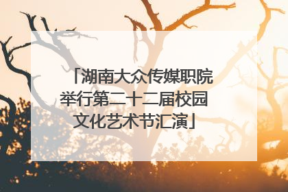 湖南大众传媒职院举行第二十二届校园文化艺术节汇演
