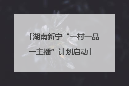 湖南新宁“一村一品一主播”计划启动
