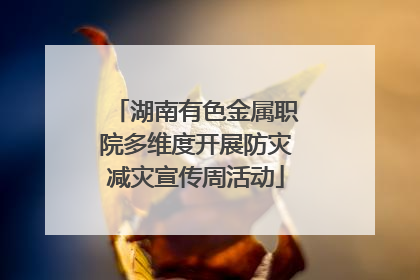 湖南有色金属职院多维度开展防灾减灾宣传周活动