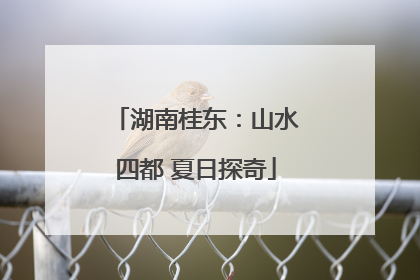 湖南桂东：山水四都 夏日探奇