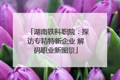 湖南铁科职院：探访专精特新企业 解码职业新图景