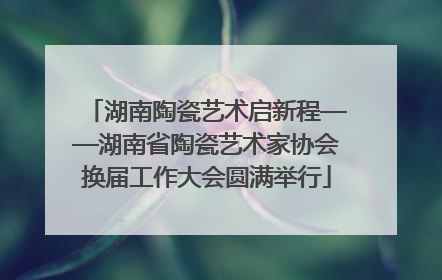 湖南陶瓷艺术启新程——湖南省陶瓷艺术家协会换届工作大会圆满举行