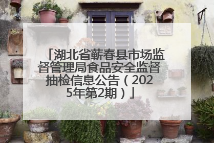 湖北省蕲春县市场监督管理局食品安全监督抽检信息公告（2025年第2期）