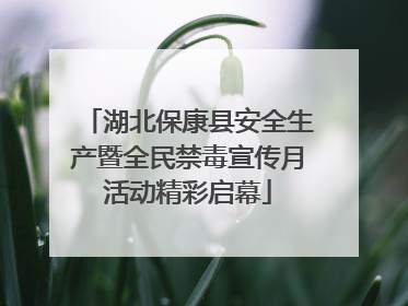 湖北保康县安全生产暨全民禁毒宣传月活动精彩启幕