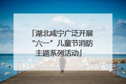 湖北咸宁广泛开展“六一”儿童节消防主题系列活动