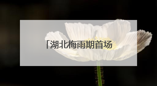 湖北梅雨期首场强降雨来袭 恩施宜昌等多地有大到暴雨局地大暴雨