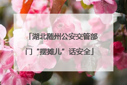 湖北随州公安交管部门“摆摊儿”话安全