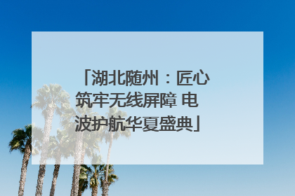 湖北随州：匠心筑牢无线屏障 电波护航华夏盛典