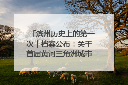 滨州历史上的第一次｜档案公布：关于首届黄河三角洲城市经济博览会暨发展论坛情况的总结报告