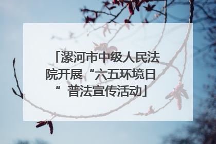 漯河市中级人民法院开展“六五环境日”普法宣传活动