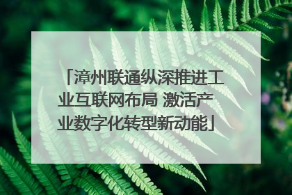 漳州联通纵深推进工业互联网布局 激活产业数字化转型新动能