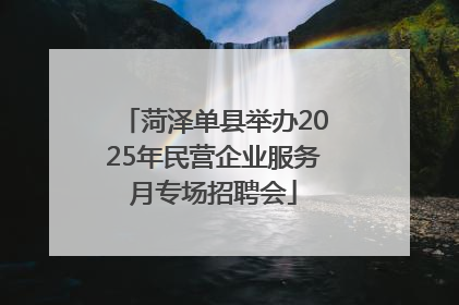 菏泽单县举办2025年民营企业服务月专场招聘会