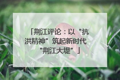 荆江评论：以“抗洪精神”筑起新时代“荆江大堤”