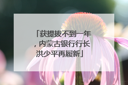 获提拔不到一年，内蒙古银行行长洪少平再履新