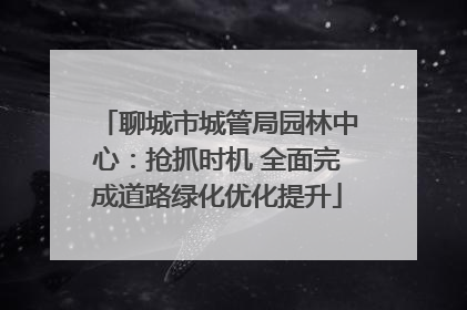 聊城市城管局园林中心：抢抓时机 全面完成道路绿化优化提升