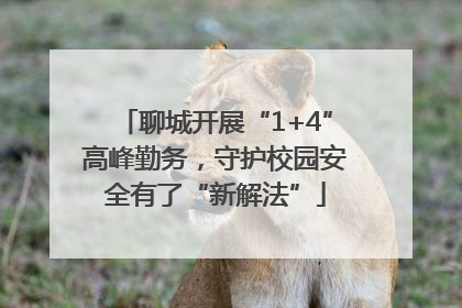 聊城开展“1+4”高峰勤务，守护校园安全有了“新解法”