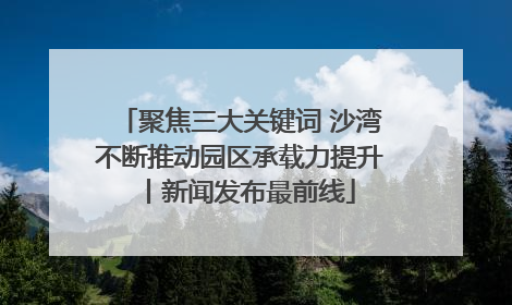 聚焦三大关键词 沙湾不断推动园区承载力提升丨新闻发布最前线