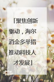 聚焦创新驱动，海尔消金多举措推动科技人才发展