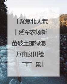 聚焦北大荒丨延军农场新苗破土铺绿浪 万亩良田绘“丰”景