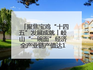 聚焦宝鸡“十四五”发展成就丨岐山“一碗面”经济全产业链产值达162亿元 入选全国典型县