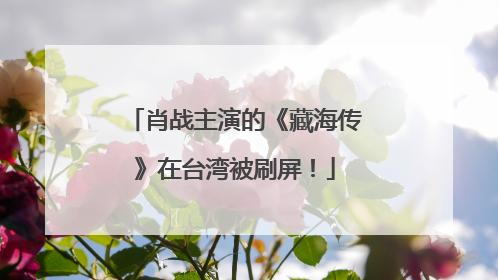 肖战主演的《藏海传》在台湾被刷屏！
