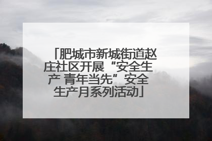肥城市新城街道赵庄社区开展“安全生产 青年当先”安全生产月系列活动