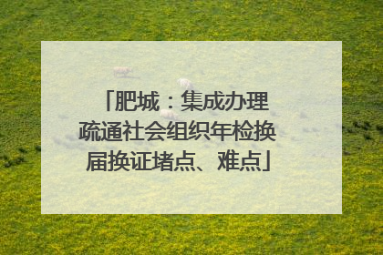 肥城：集成办理 疏通社会组织年检换届换证堵点、难点
