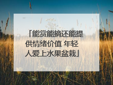 能赏能摘还能提供情绪价值 年轻人爱上水果盆栽