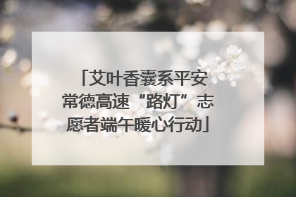 艾叶香囊系平安 常德高速“路灯”志愿者端午暖心行动