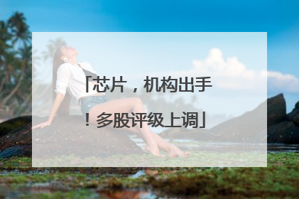 芯片，机构出手！多股评级上调