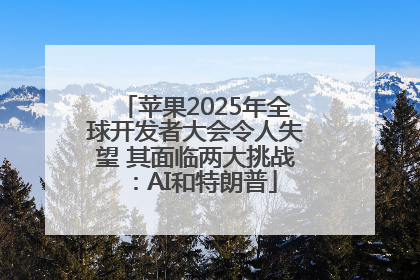 苹果2025年全球开发者大会令人失望 其面临两大挑战：AI和特朗普