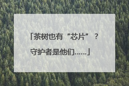 茶树也有“芯片”？守护者是他们……