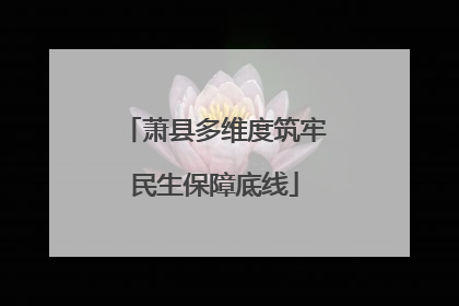 萧县多维度筑牢民生保障底线