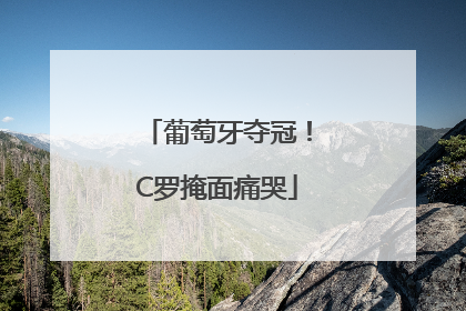 葡萄牙夺冠！C罗掩面痛哭