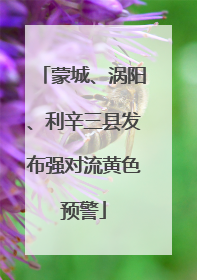 蒙城、涡阳、利辛三县发布强对流黄色预警