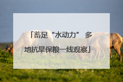 蓄足“水动力” 多地抗旱保粮一线观察