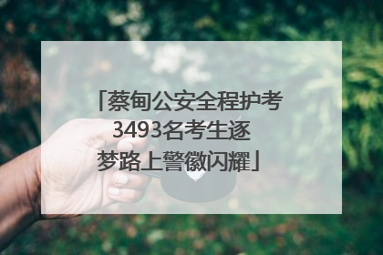 蔡甸公安全程护考 3493名考生逐梦路上警徽闪耀